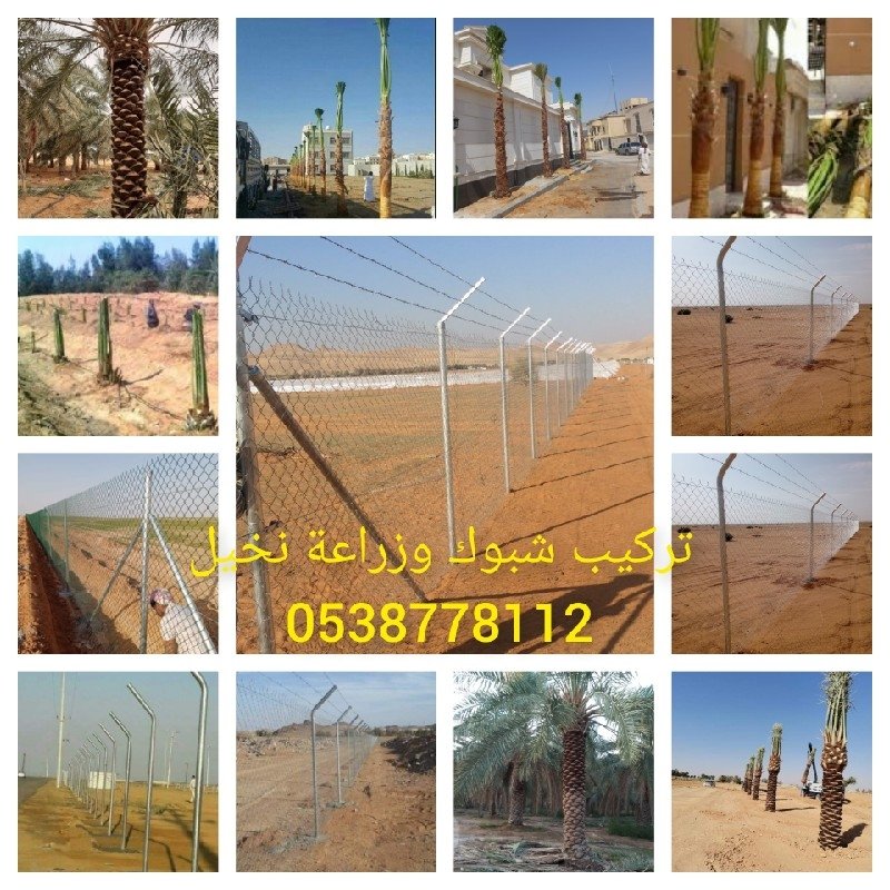 تركيب شبوك وزراعة نخيل